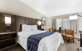 Best Western New Oregon Motel